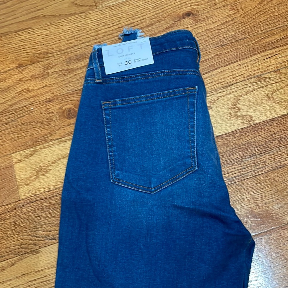NWT Loft Size 10 skinny jeans